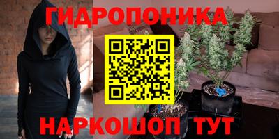Альфа ПВП Будённовск